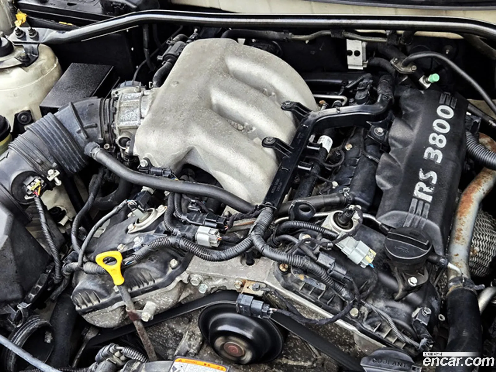 Hyundai Genesis Coupe 2010 — 11