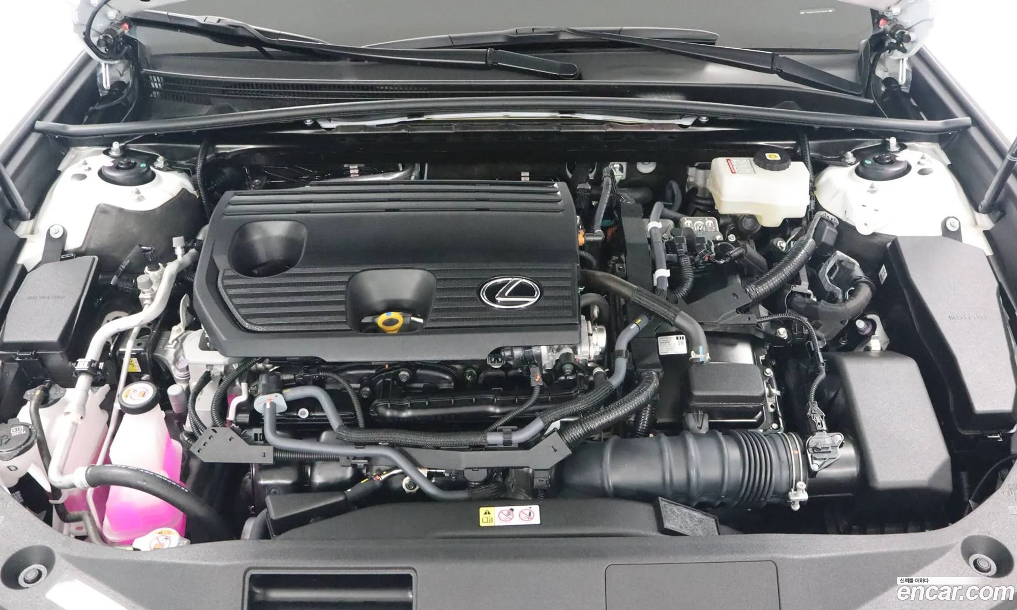 Lexus ES300h 7th Gen 2024 — 8