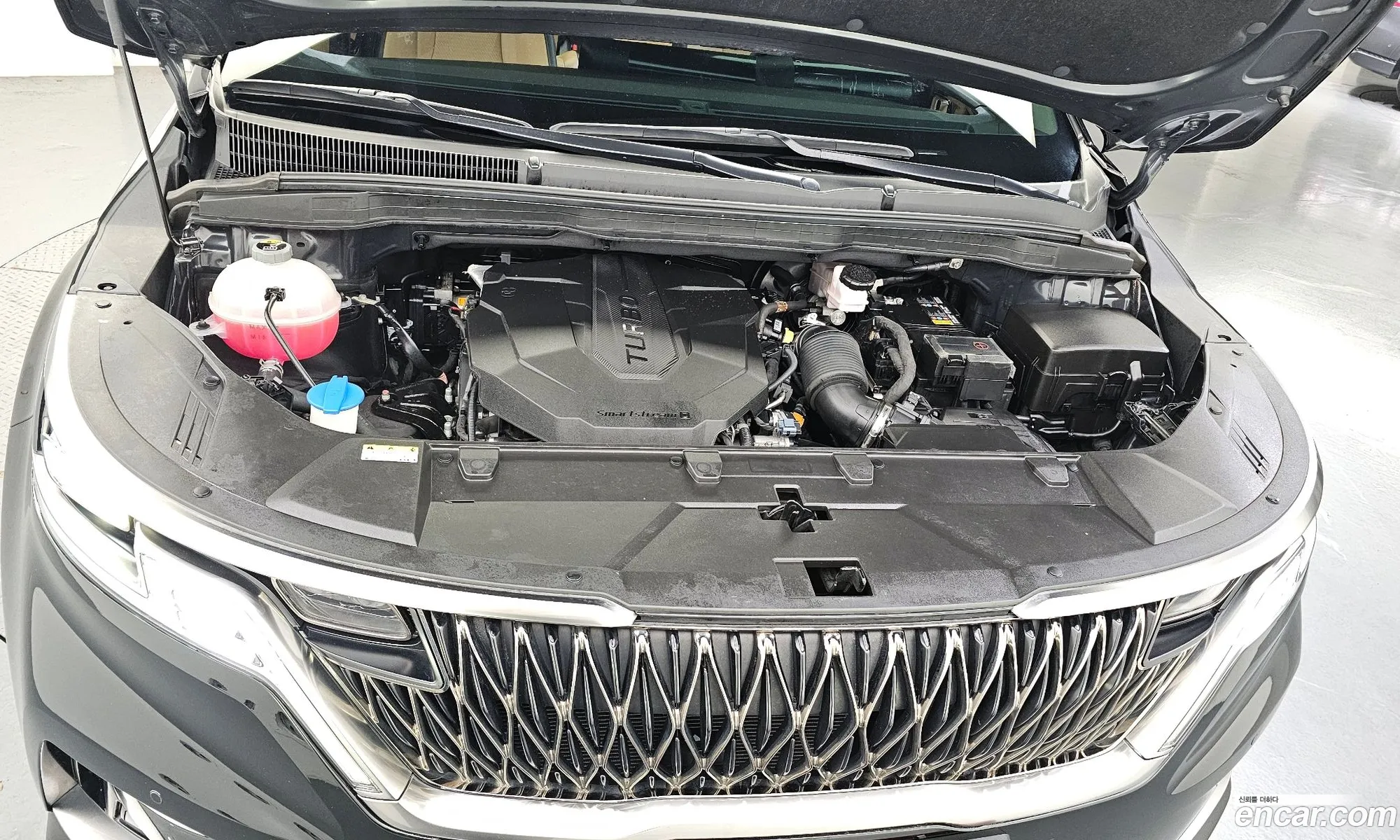 Kia Carnival 2023 KNANE81BBPS328891 — 2