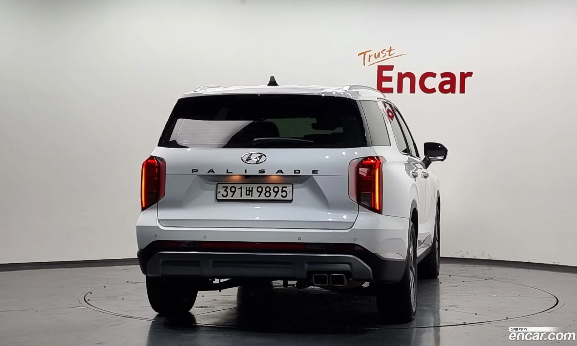 Hyundai Palisade 2023 — 8