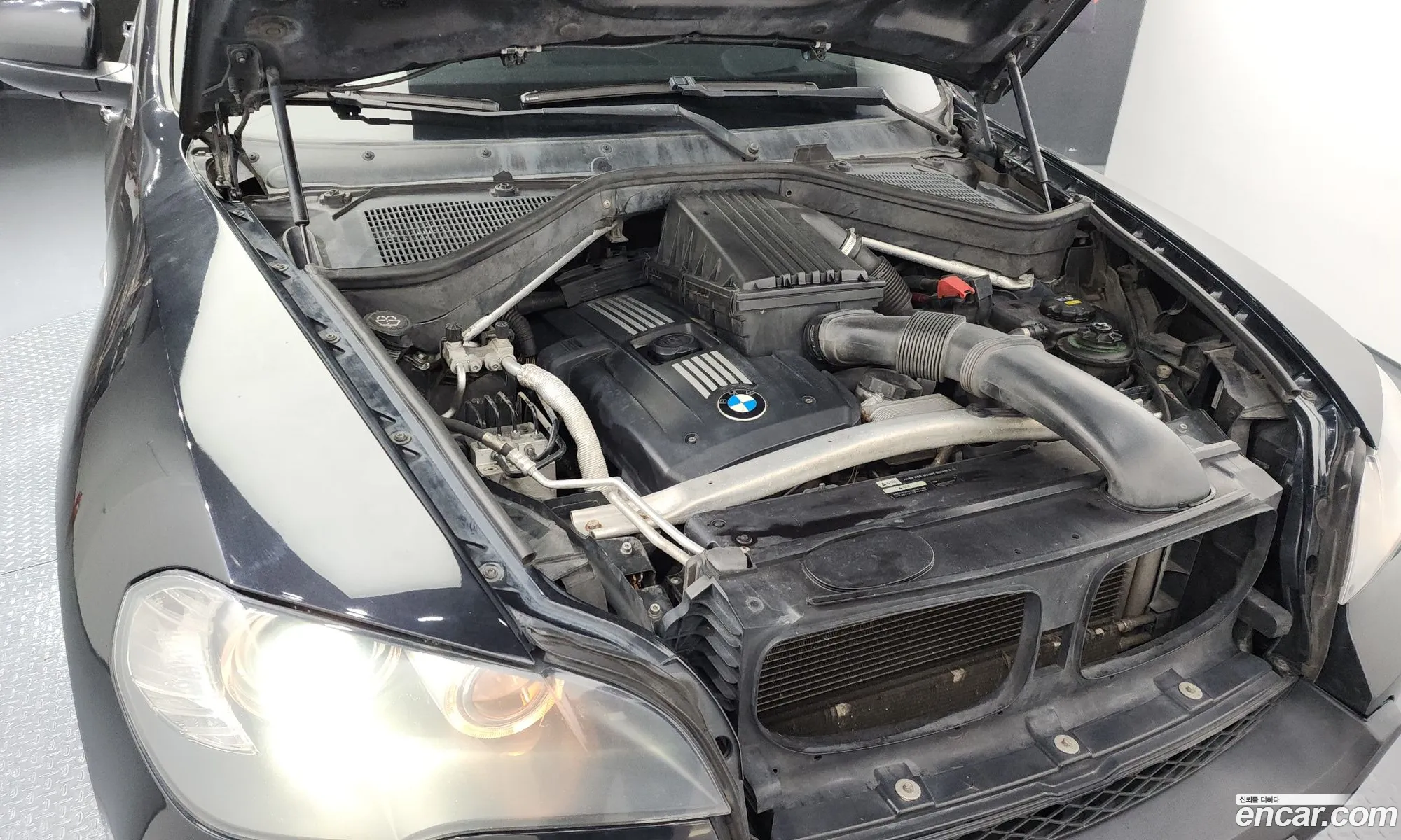 BMW X5 2009 WBAFE410X9L251747 — 5