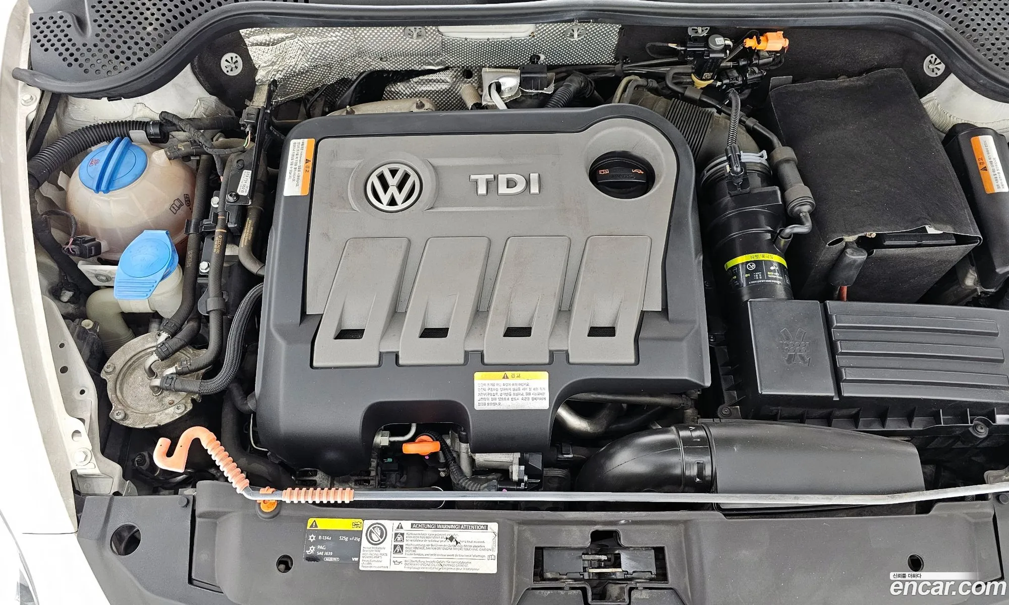 Volkswagen The Beetle 2013 — 8
