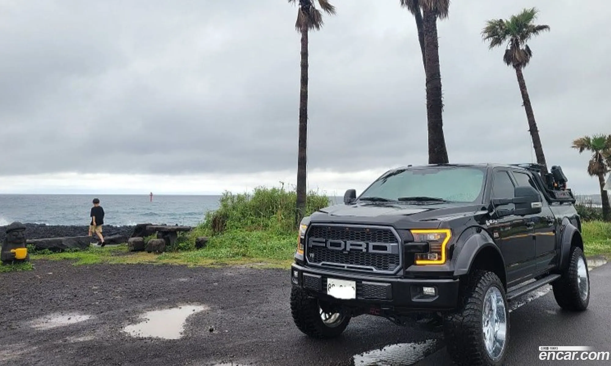 Ford F-150 2016 — 10