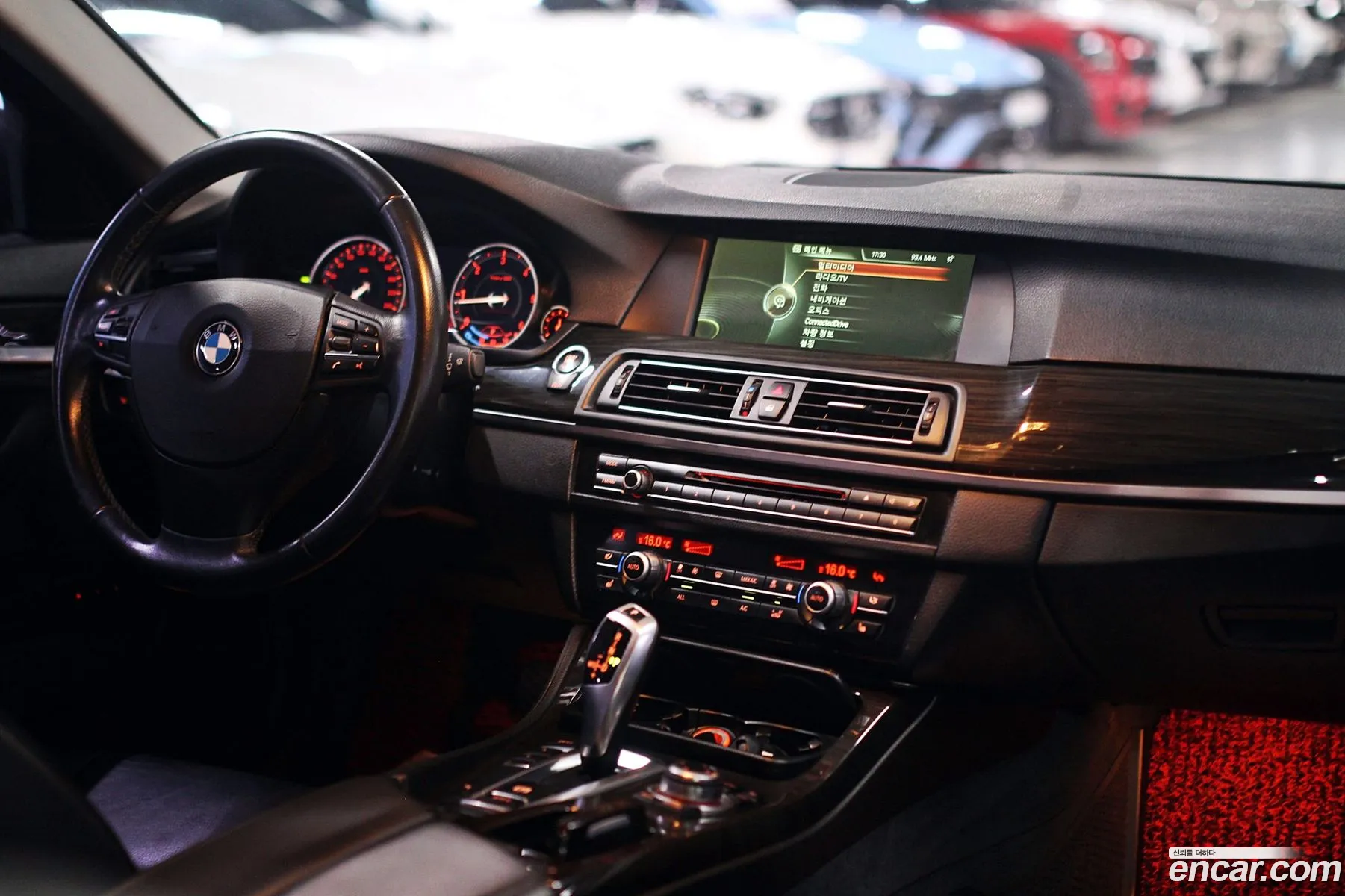 BMW 5 Series 2013 — 17