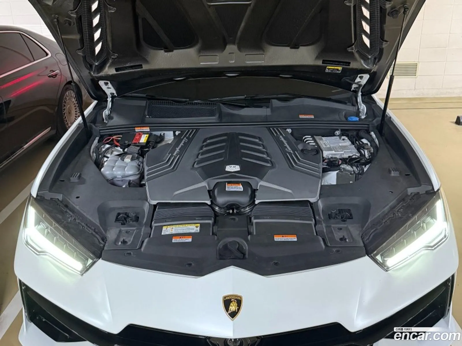 Lamborghini Urus 2023 — 2