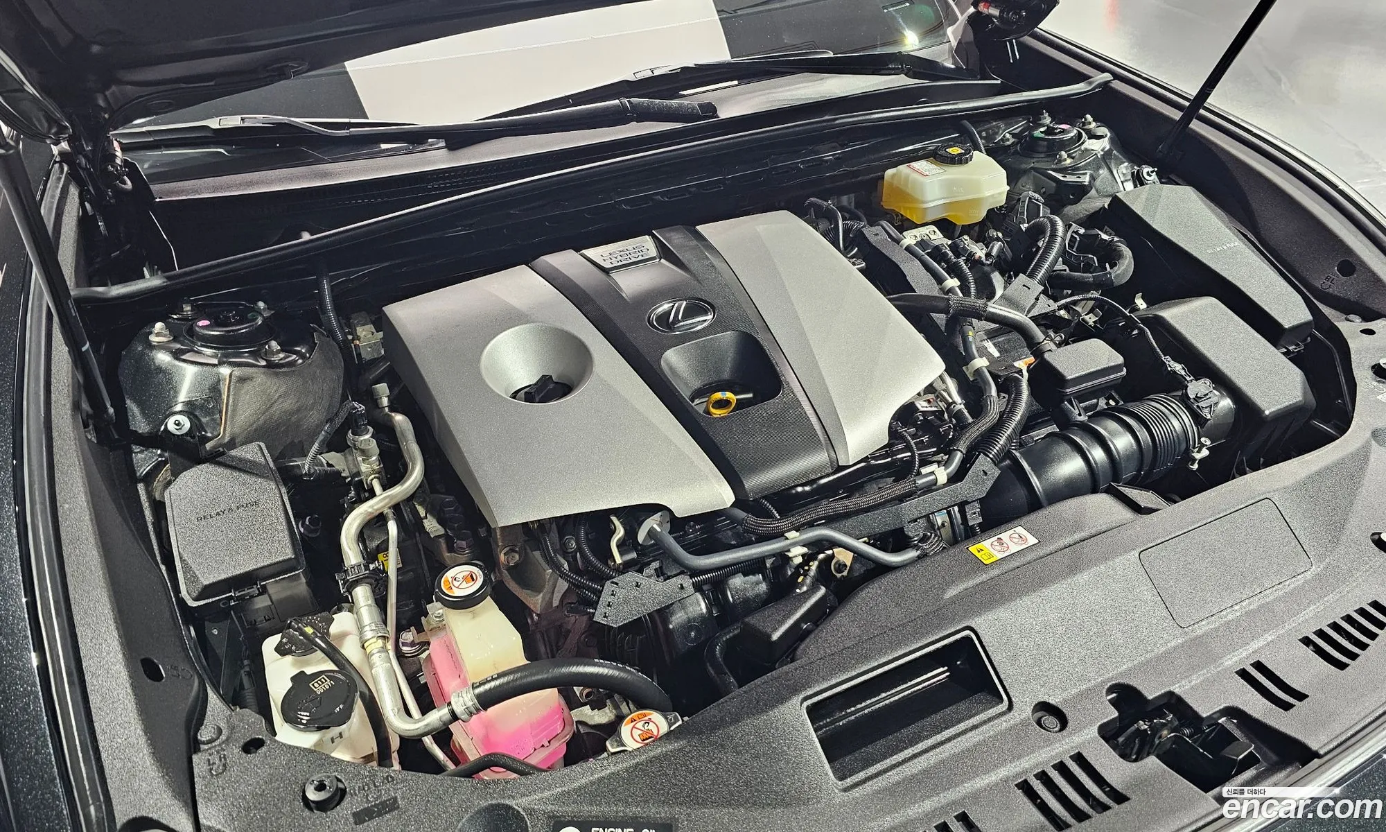 Lexus ES300h 7th Gen 2019 — 6