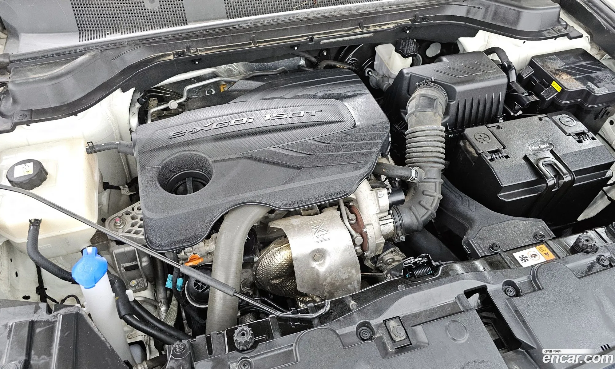KG Mobility (SsangYong) Beautiful Korando 2020 — 19