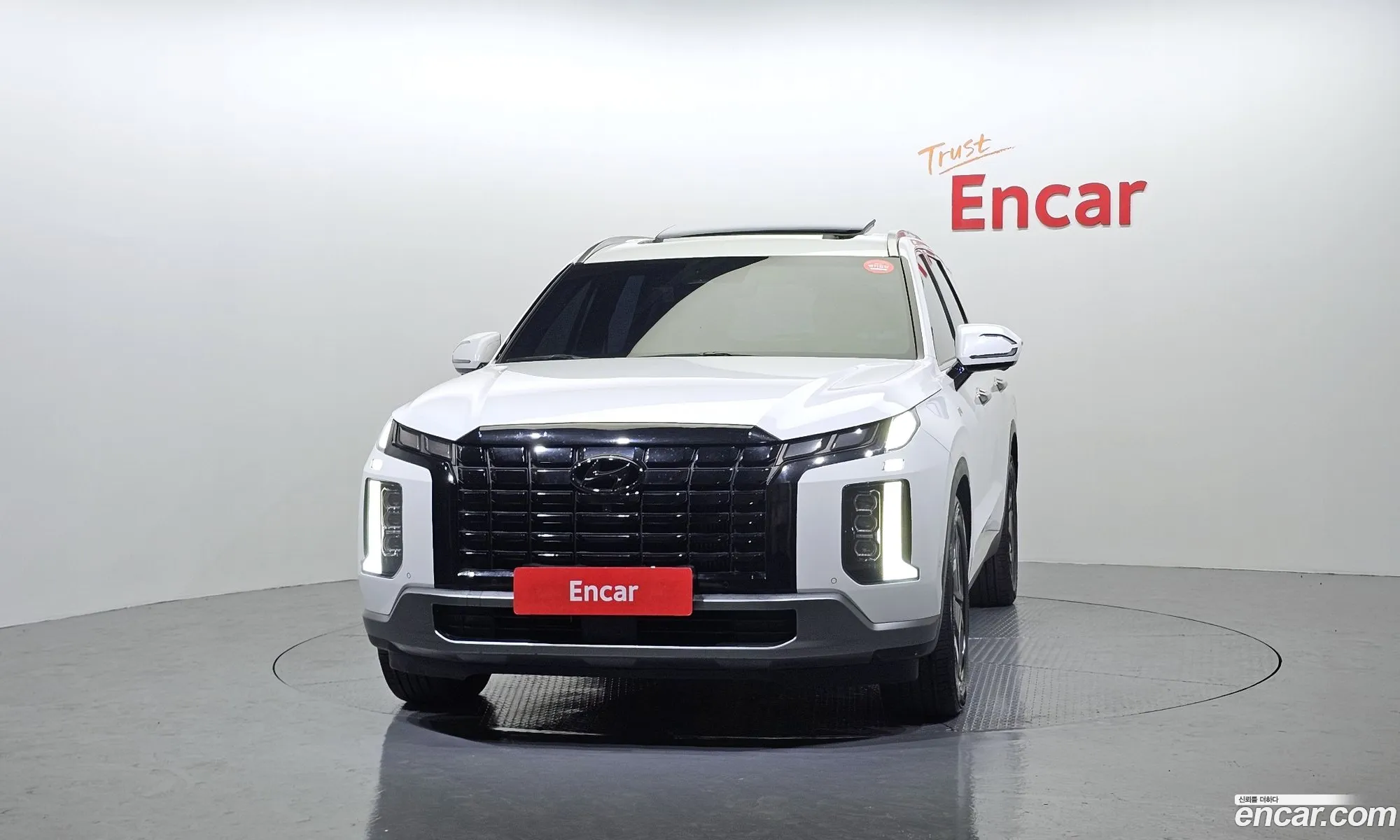 Hyundai Palisade 2022 — 13
