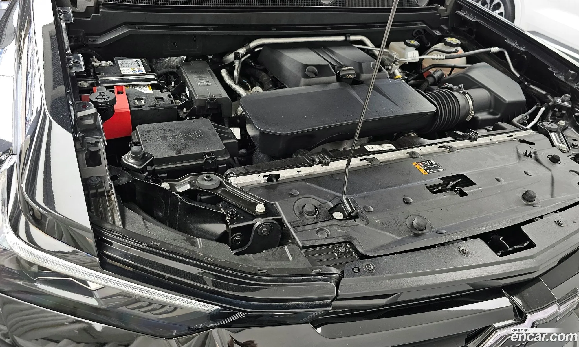 Chevrolet (GM Daewoo) Colorado 2024 — 10