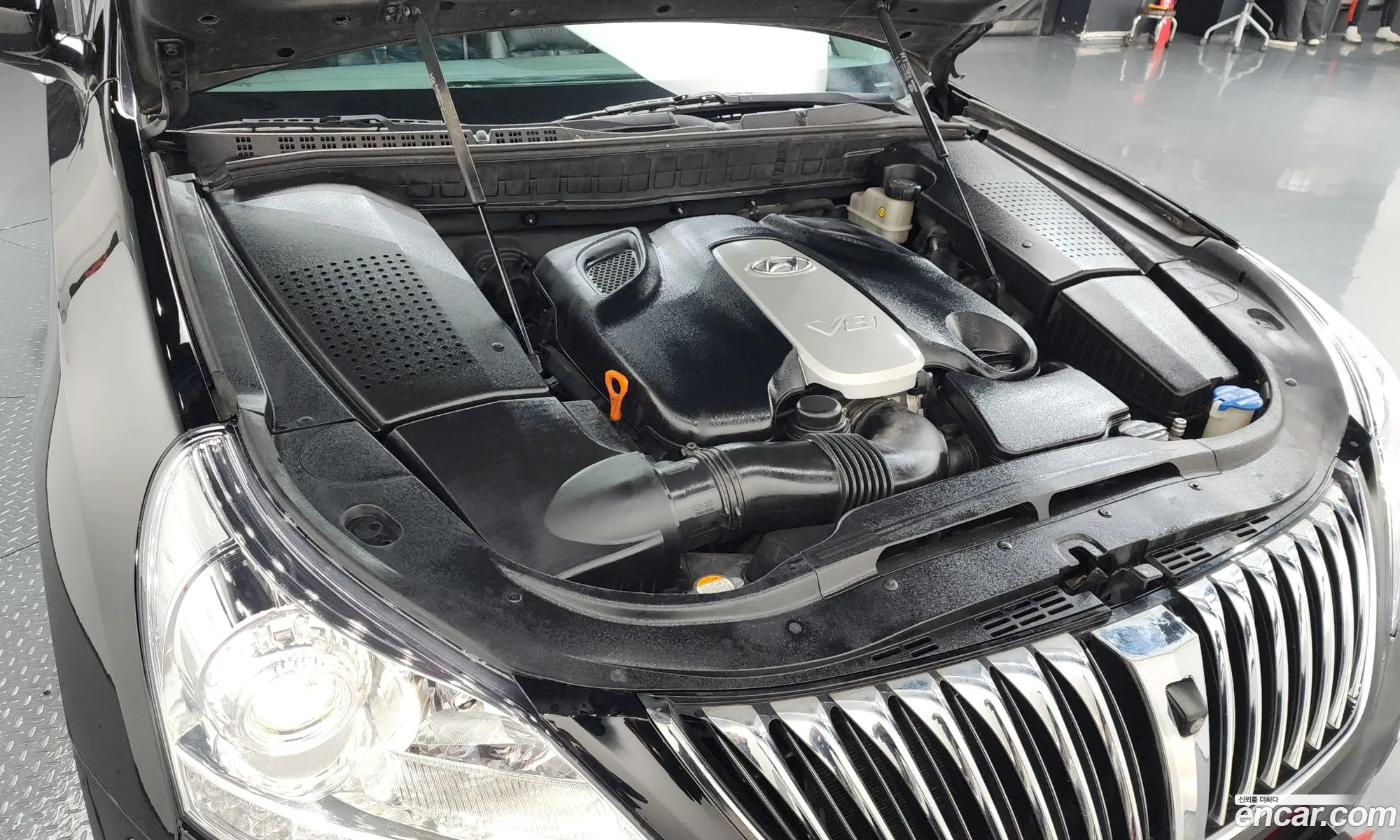 Hyundai Equus 2010 — 5
