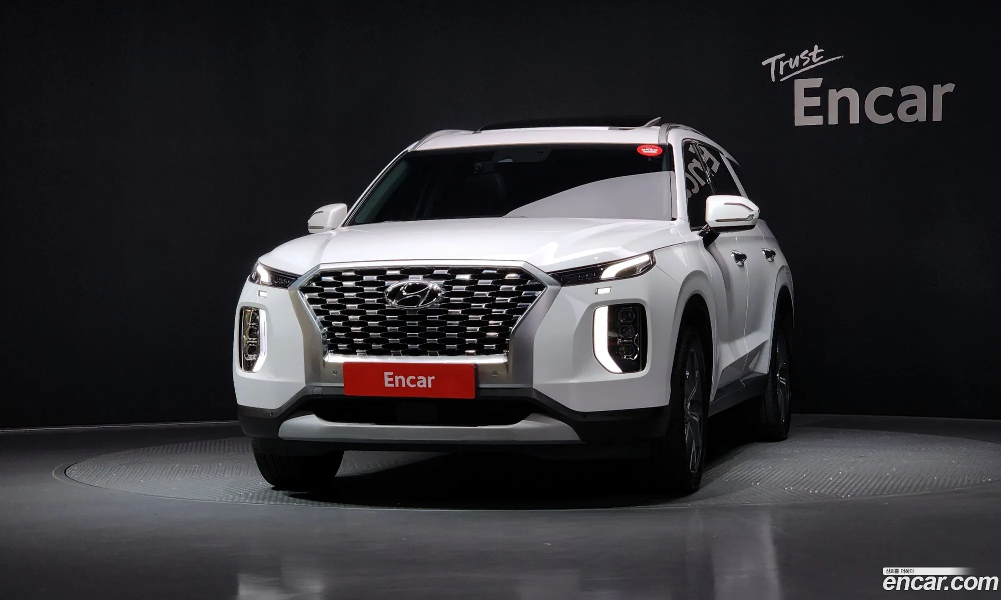 Hyundai Palisade 2020 KMHR381ADLU156231 — 8
