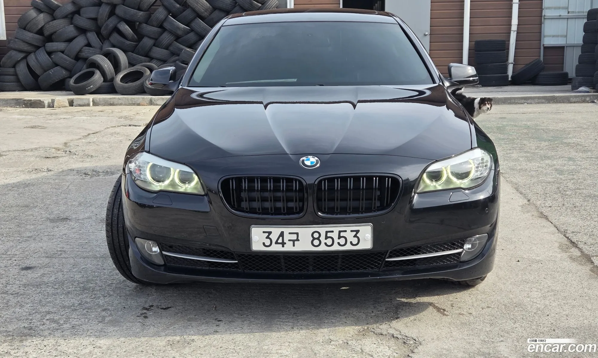 BMW 5 Series 2010 — 12
