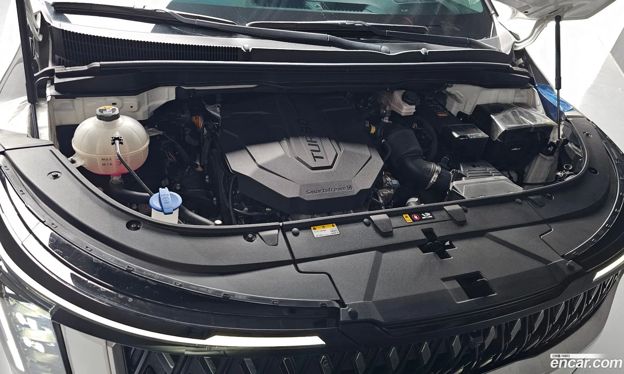 Kia Carnival 2024 — 11