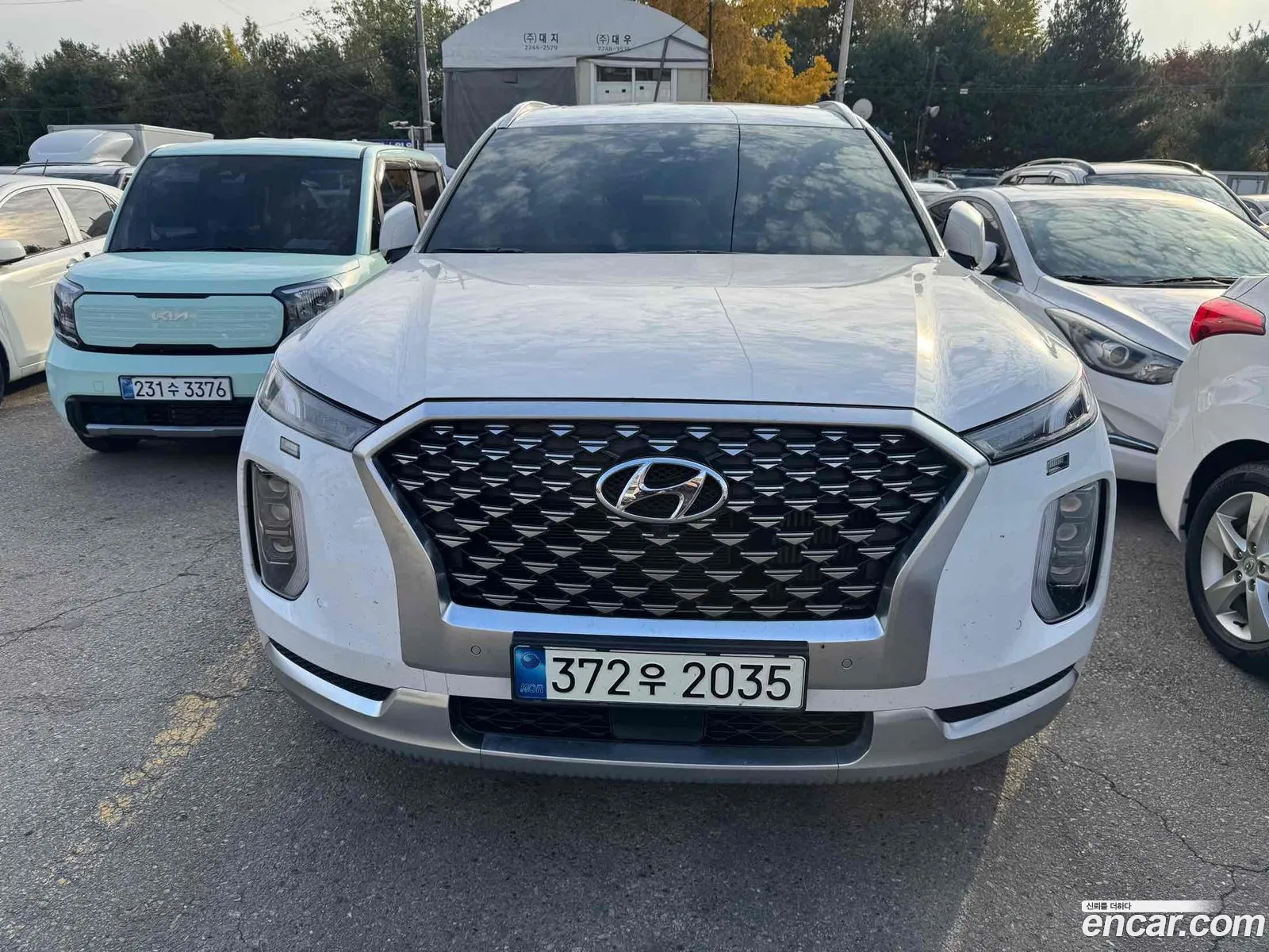 Hyundai Palisade 2021 — 8