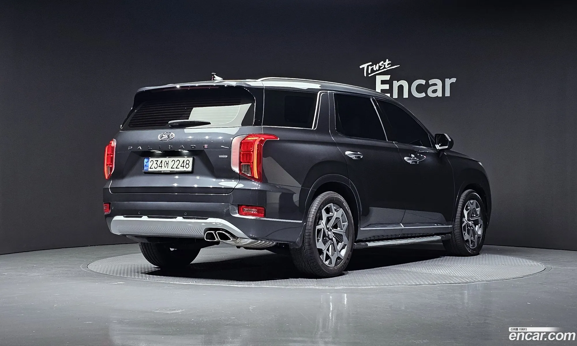 Hyundai Palisade 2020 — 12