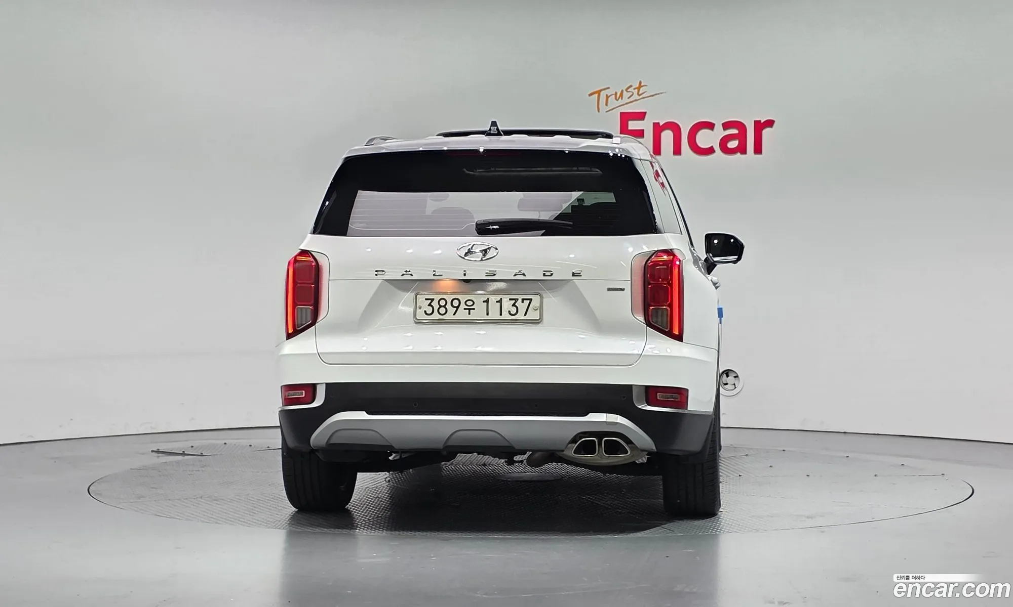 Hyundai Palisade 2020 — 20