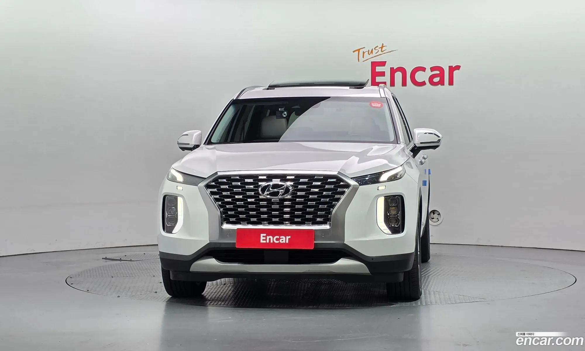 Hyundai Palisade 2020 — 19