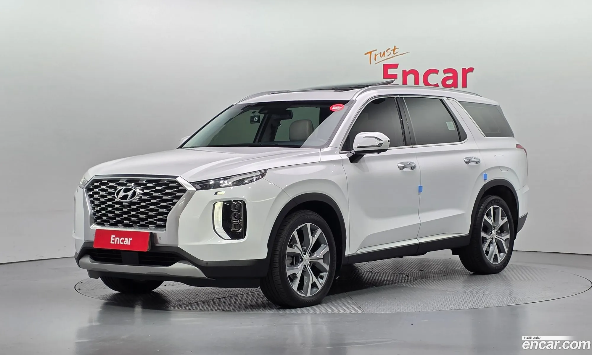 Hyundai Palisade 2020 — 16