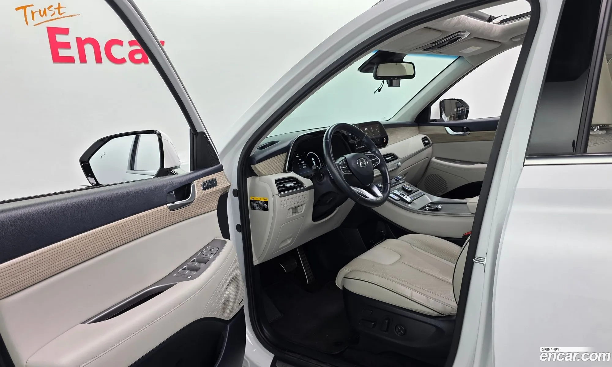 Hyundai Palisade 2020 — 11