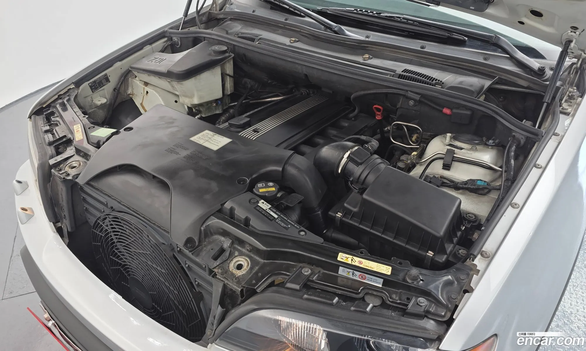 BMW X5 2003 WBAFA51023LT42598 — 3