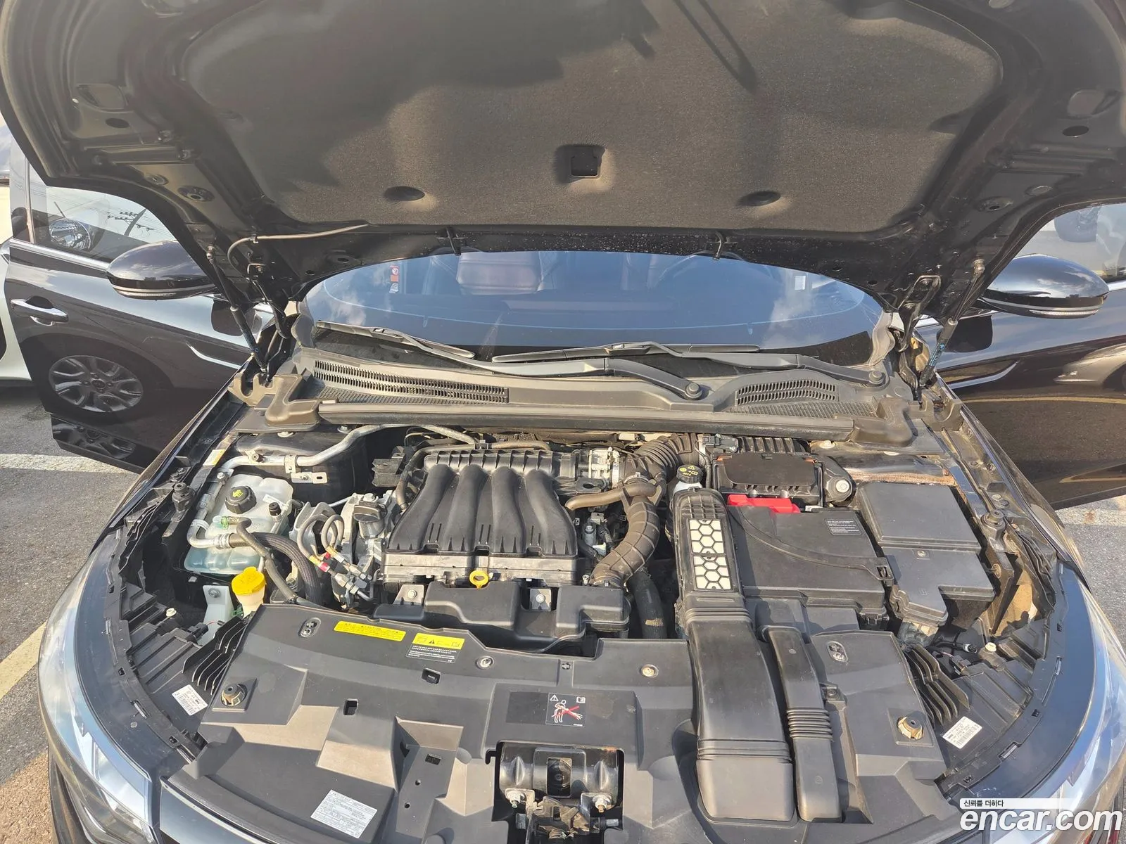 Renault Korea (Samsung) SM6 2017 — 4