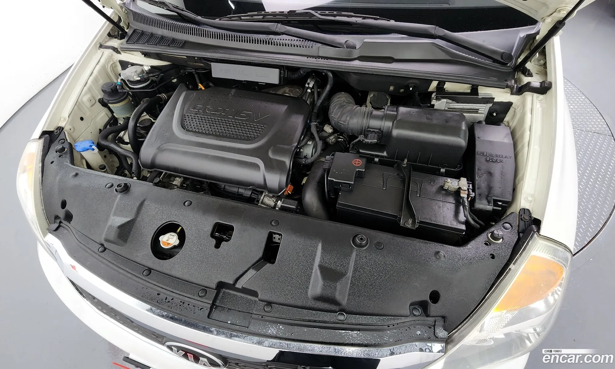 Kia Carnival R 2013 — 5