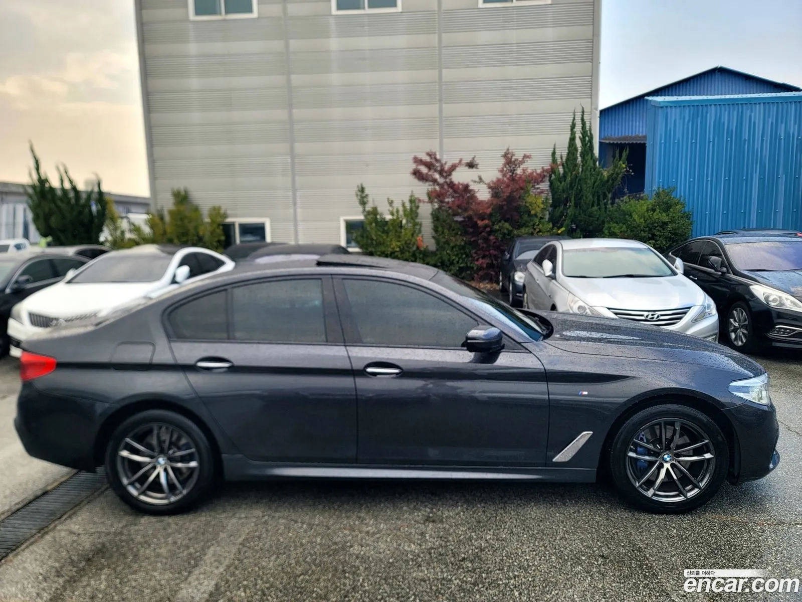 BMW 5 Series 2017 — 2
