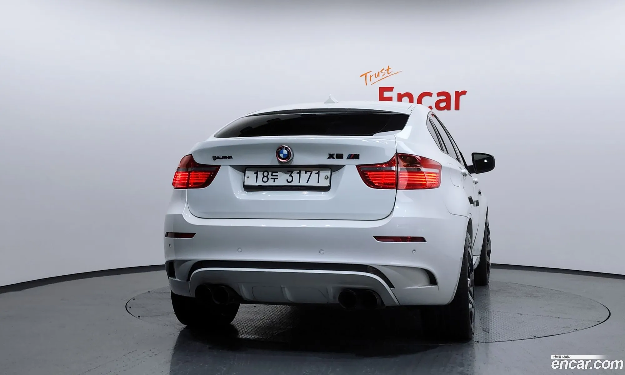BMW X6 M 2010 WBSGZ0100ALM11345 — 3