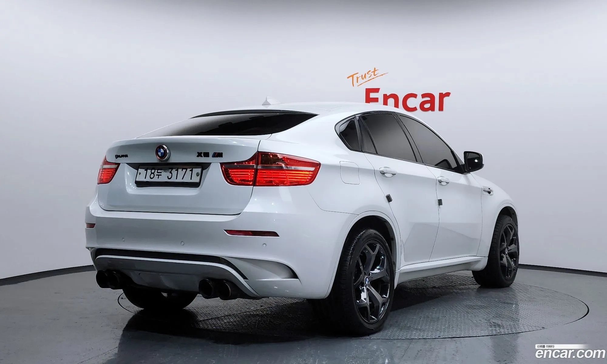 BMW X6 M 2010 WBSGZ0100ALM11345 — 6