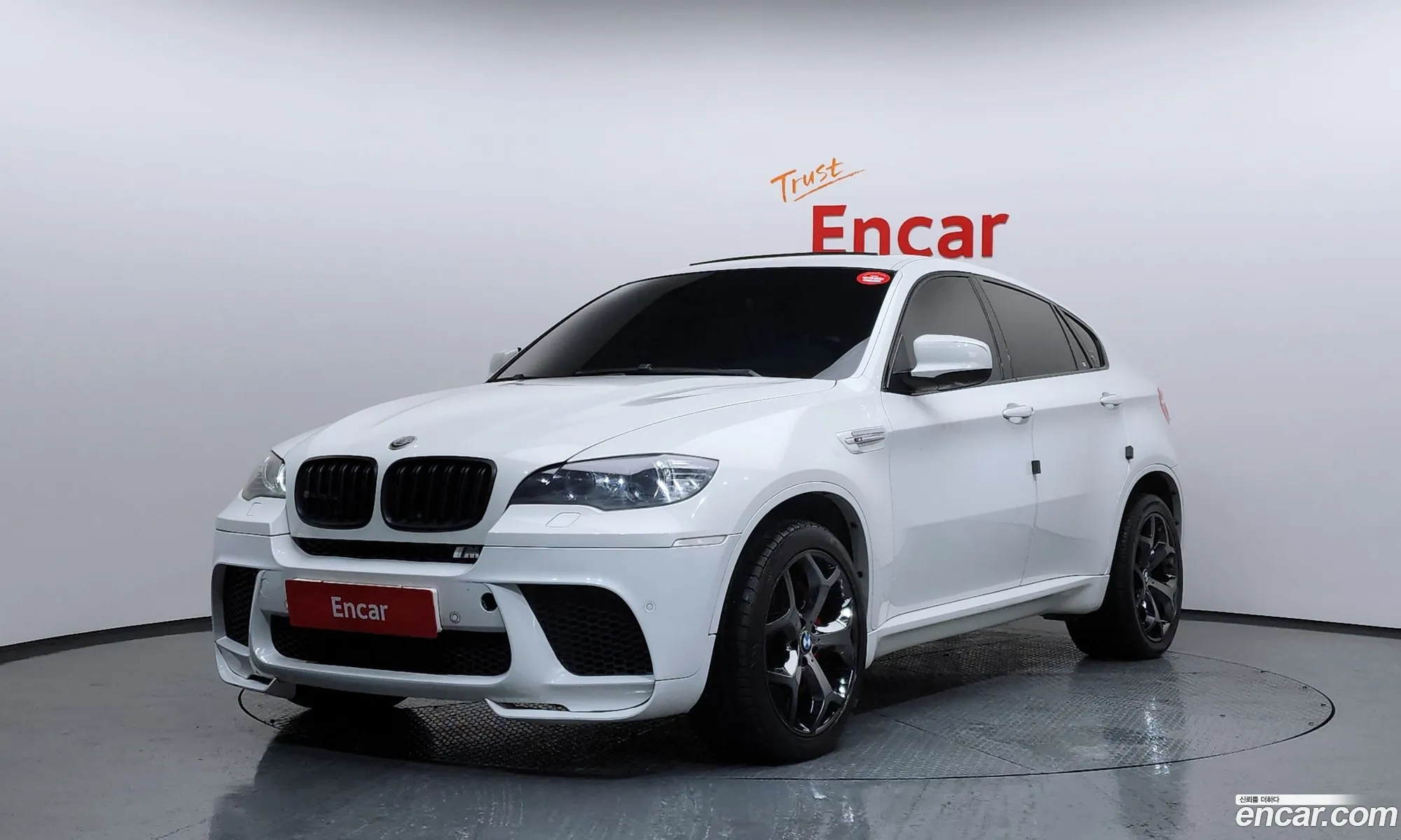 BMW X6 M 2010 WBSGZ0100ALM11345 — 15
