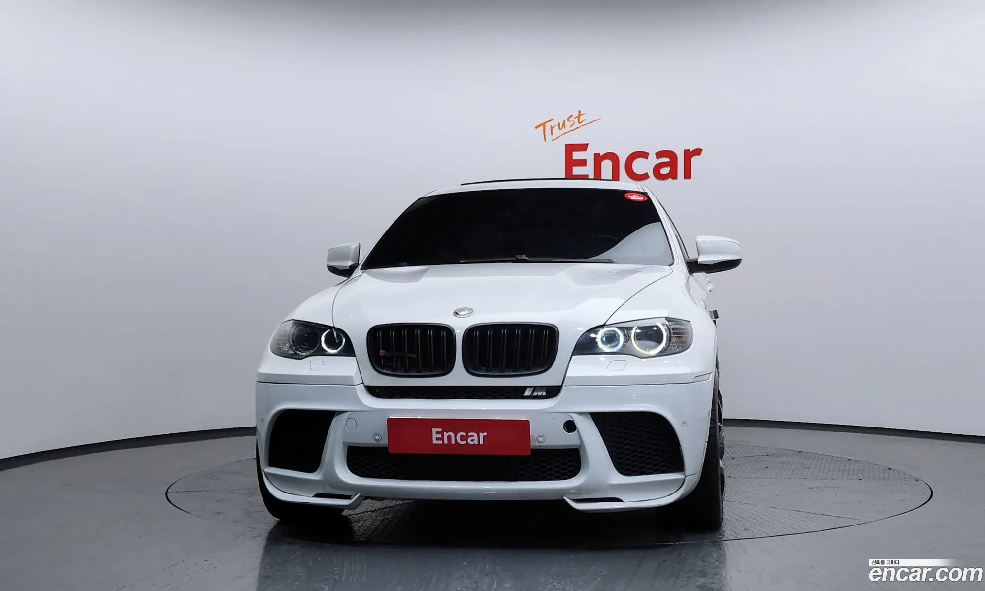 BMW X6 M 2010 WBSGZ0100ALM11345 — 4