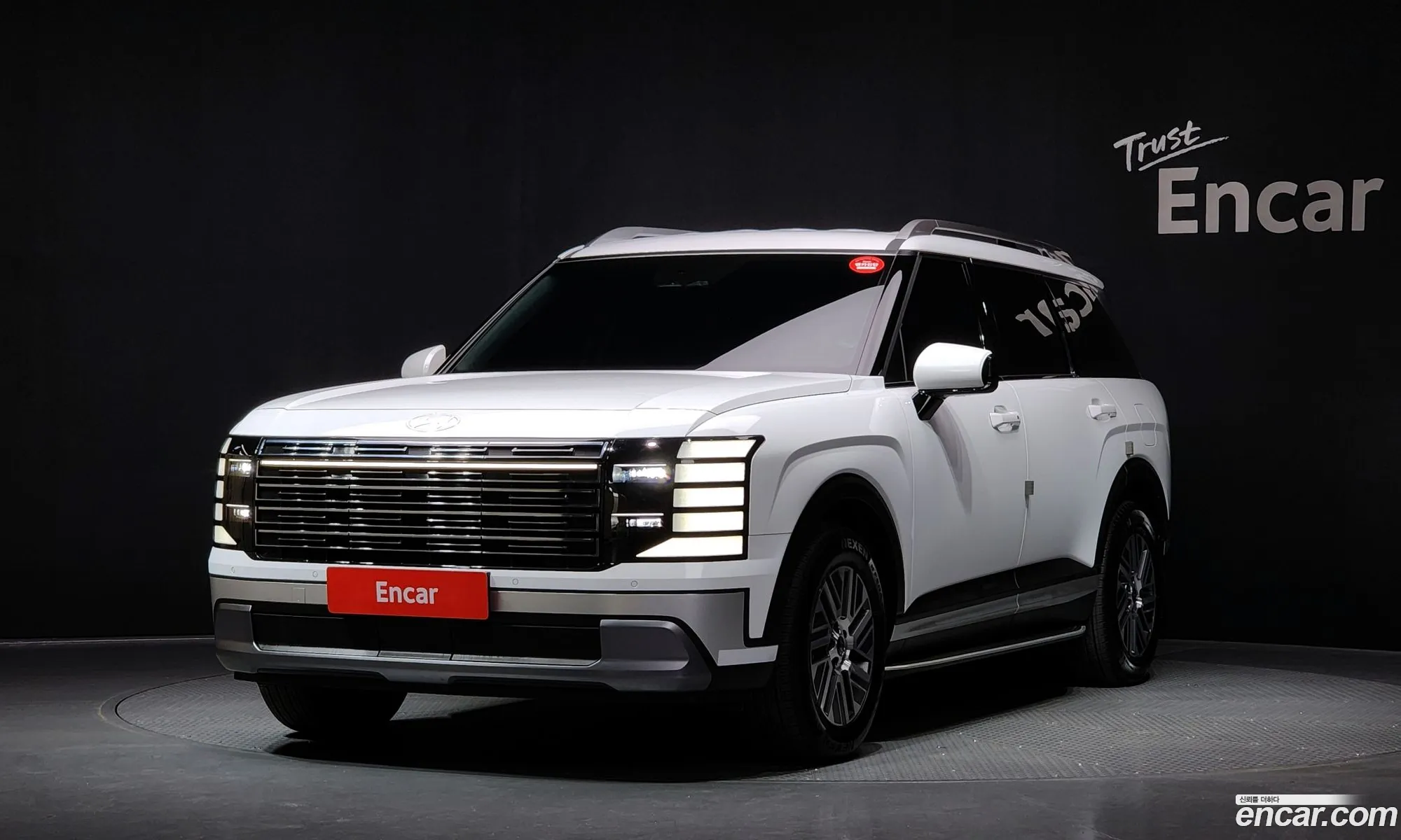 Hyundai Palisade 2025 — 18