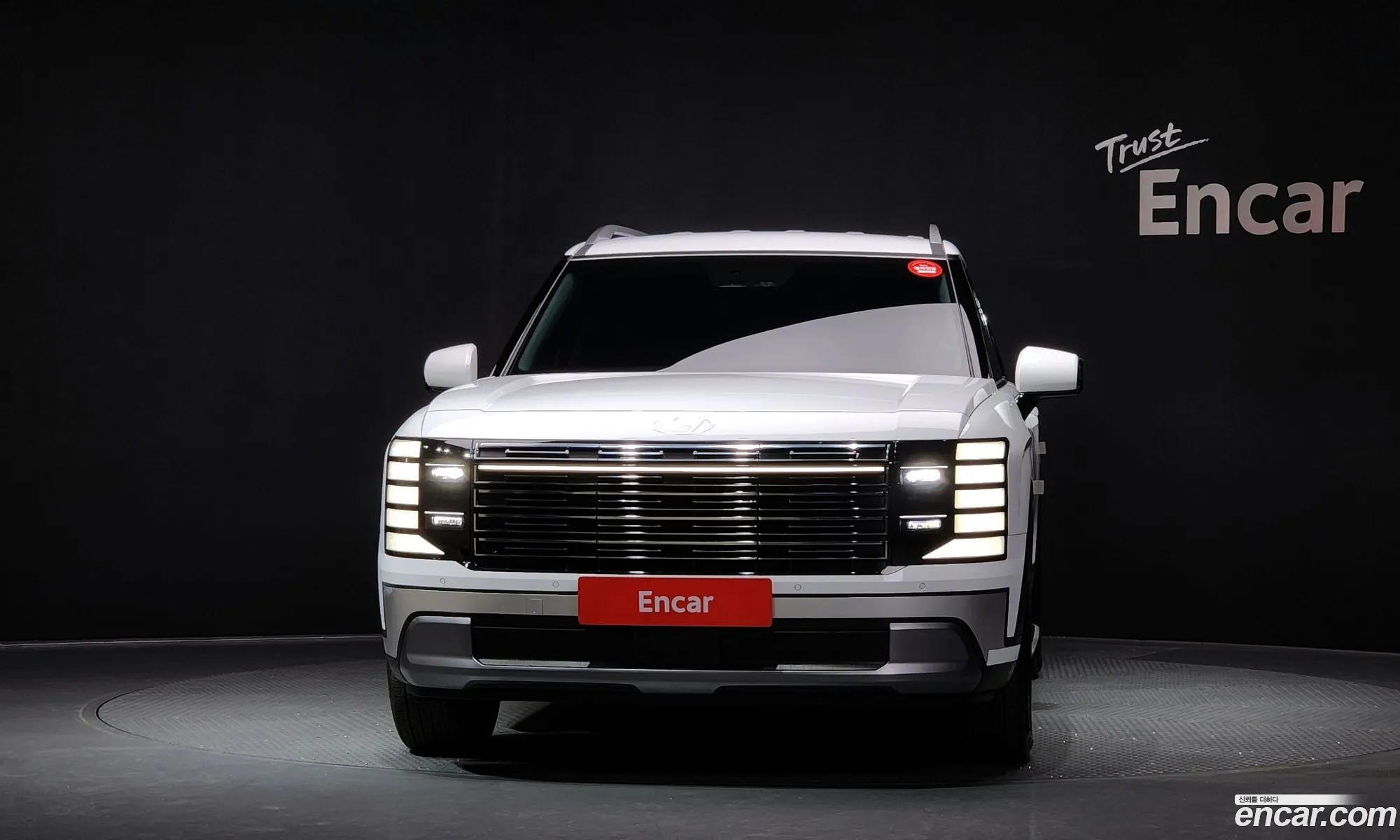 Hyundai Palisade 2025 — 10