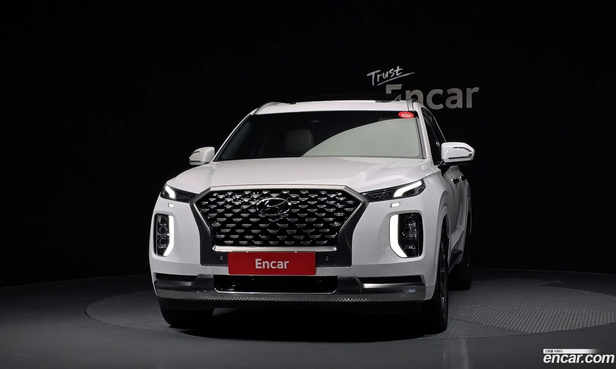 Hyundai Palisade 2022 — 8