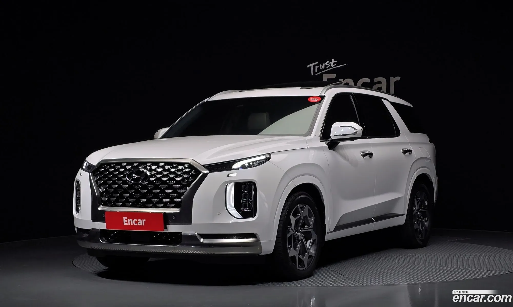 Hyundai Palisade 2022 — 20
