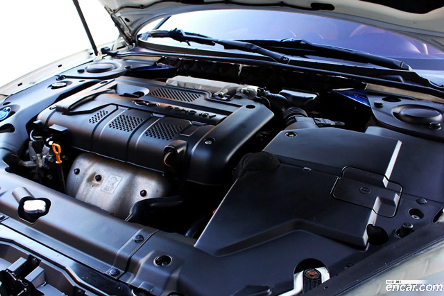 Hyundai Tuscani 2008 — 7