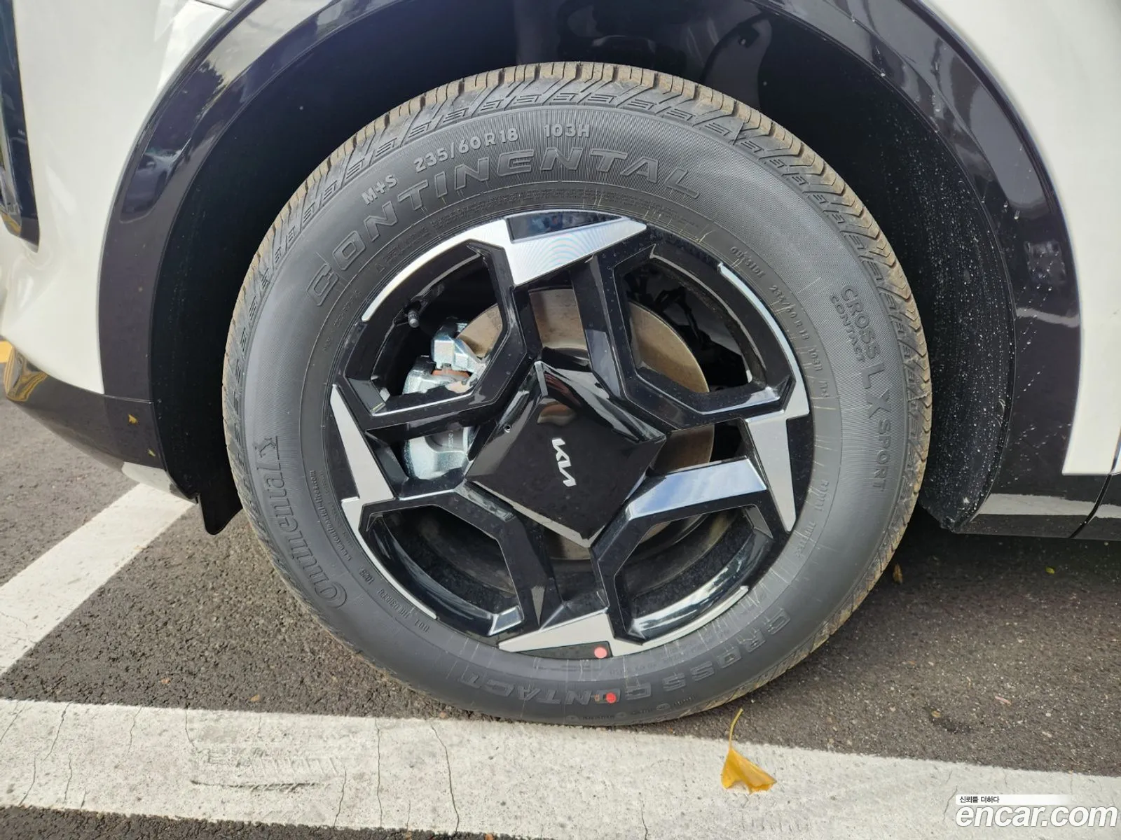 Kia Sportage Hybrid 2025 — 19