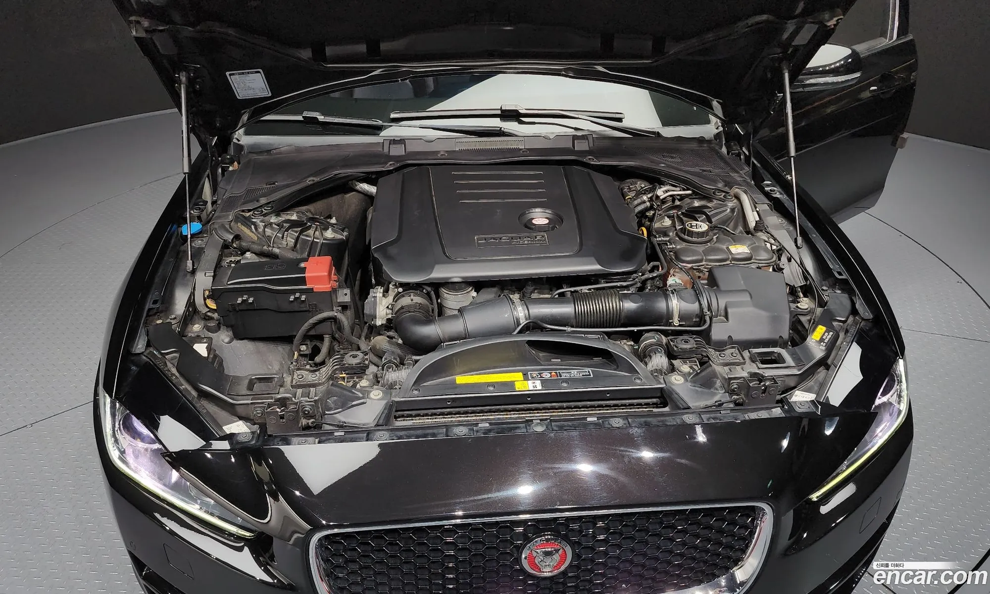 Jaguar XE 2015 — 13