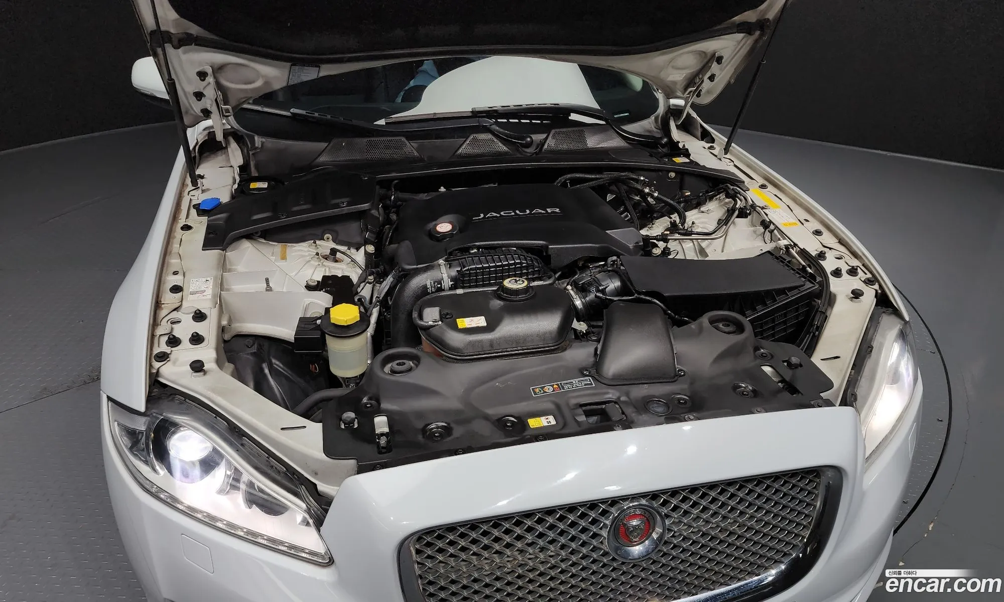 Jaguar XJ 2015 SAJAA222XFNV83900 — 15