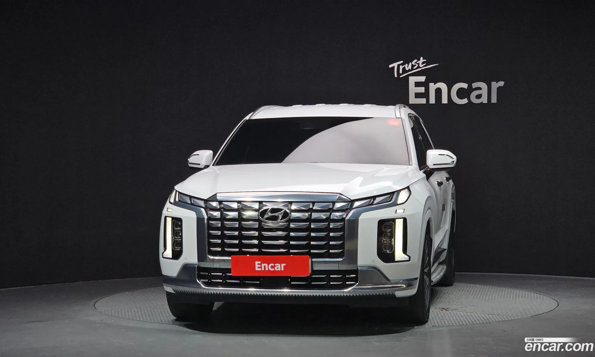 Hyundai Palisade 2023 — 8