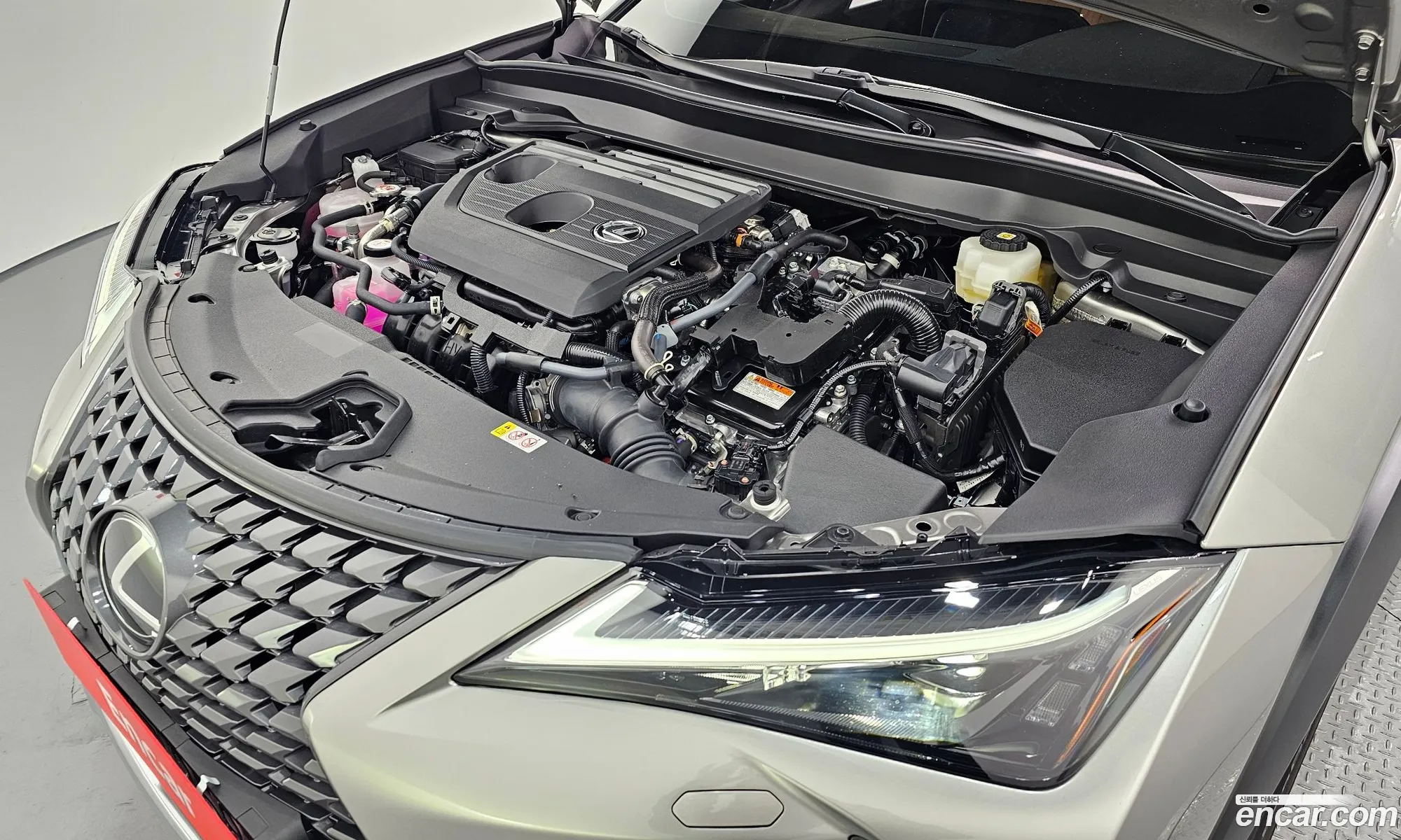 Lexus UX300h 2025 — 5