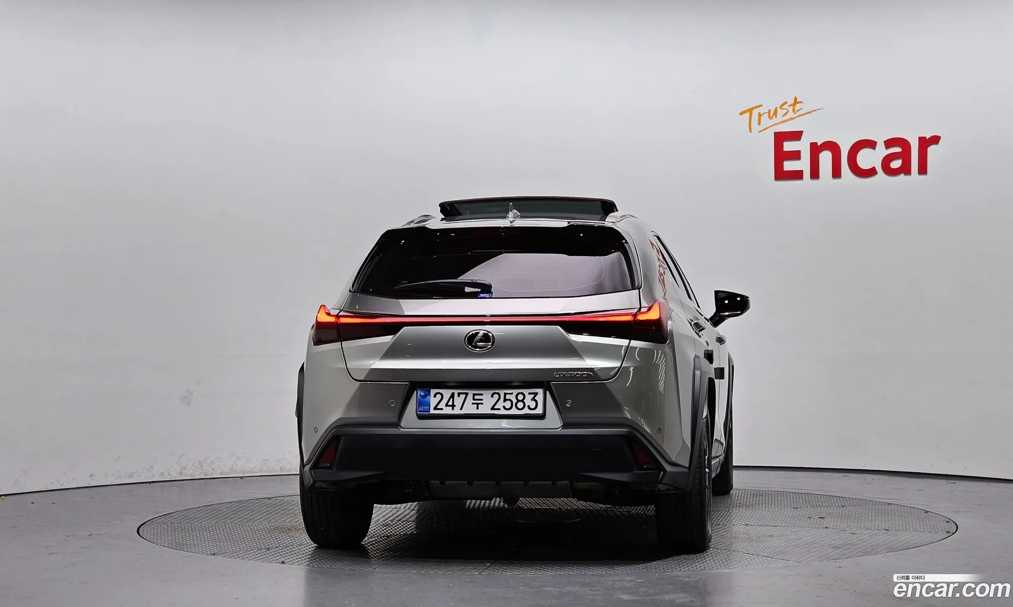 Lexus UX300h 2025 — 12