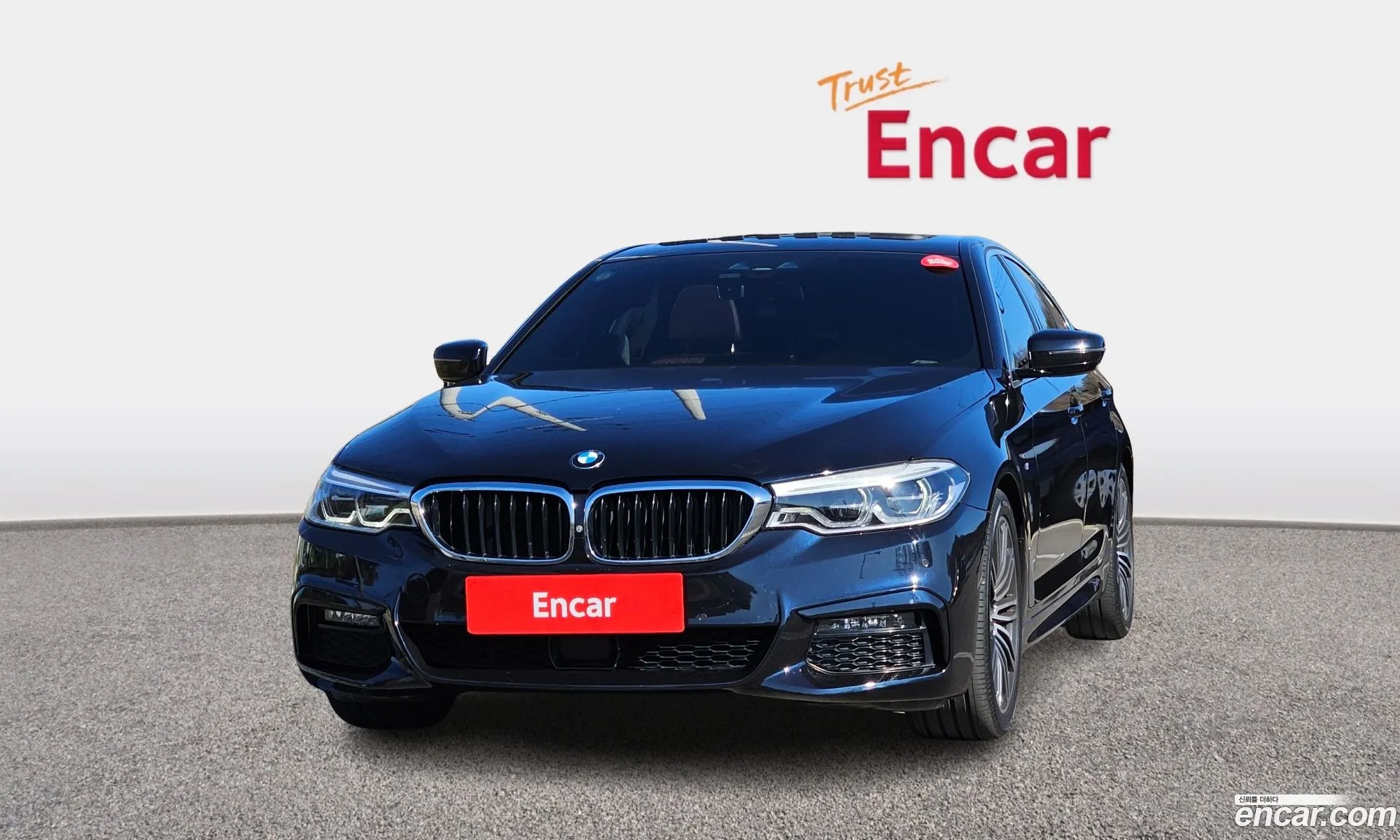 BMW 5 Series 2019 — 13