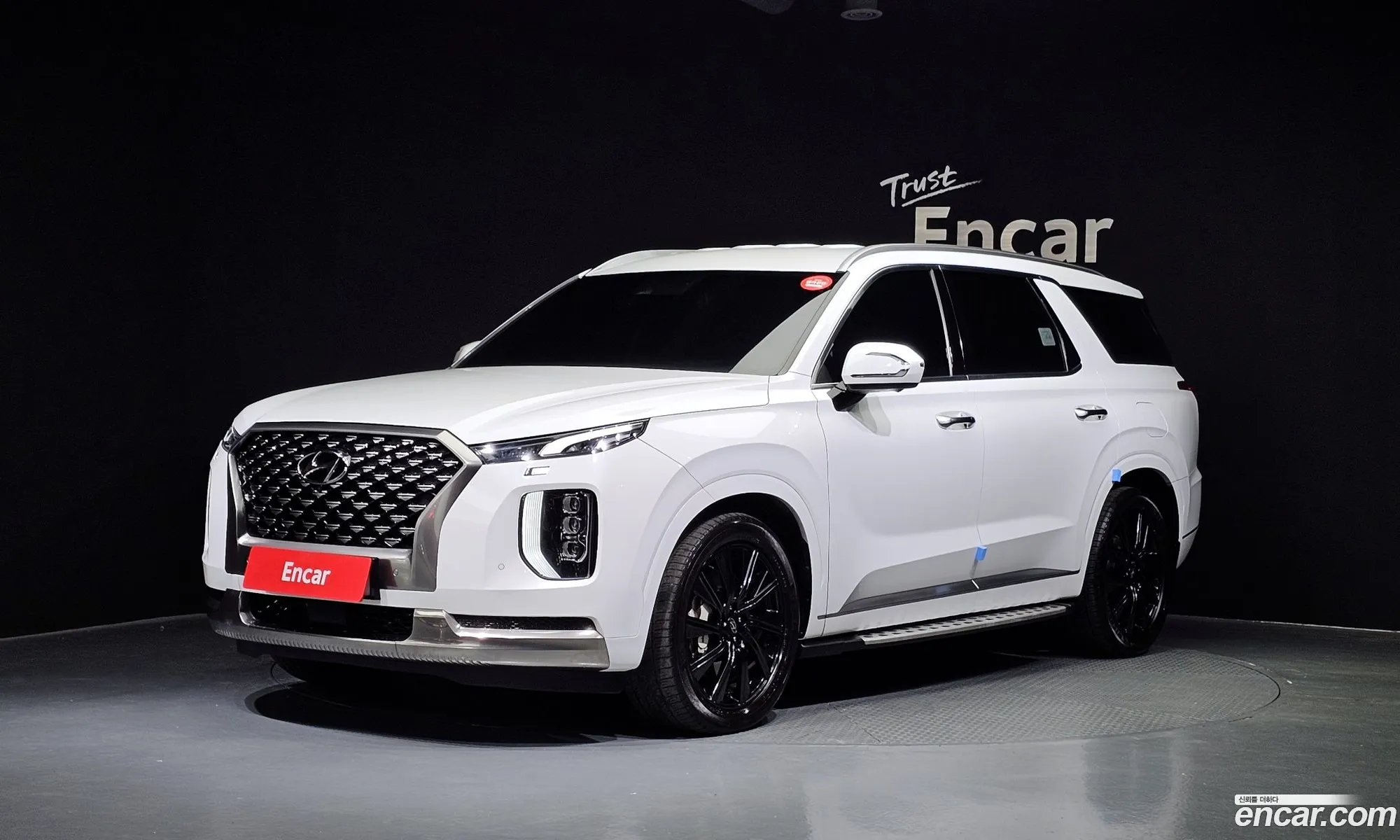 Hyundai Palisade 2021 — 18