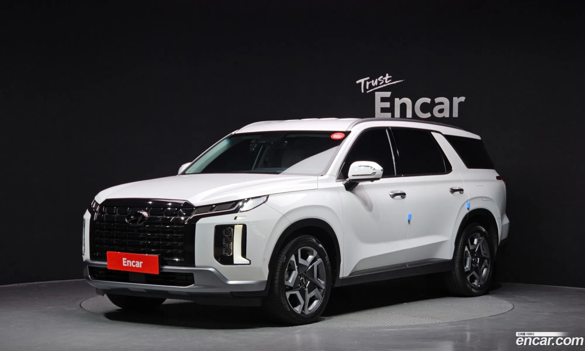 Hyundai Palisade 2022 — 19