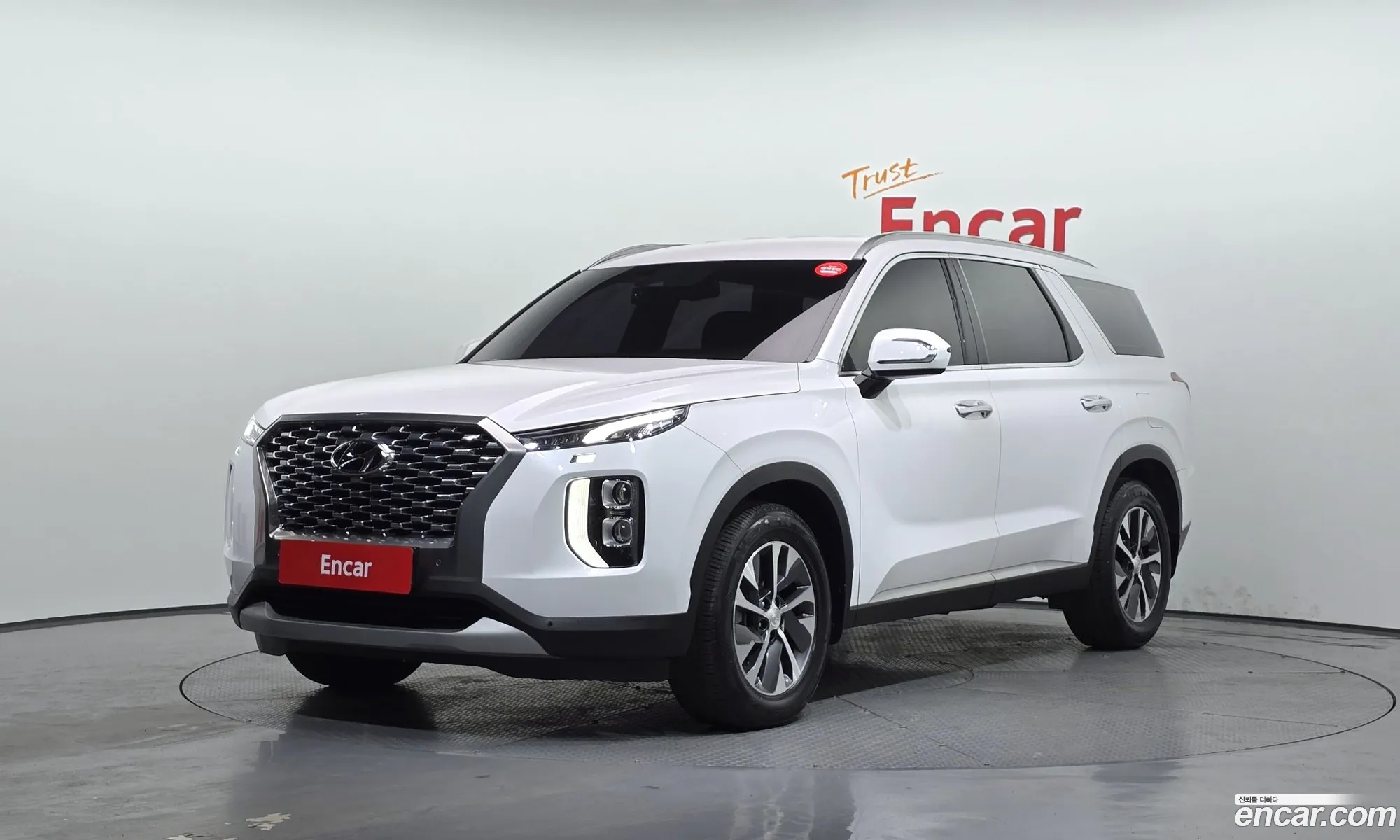 Hyundai Palisade 2019 — 8