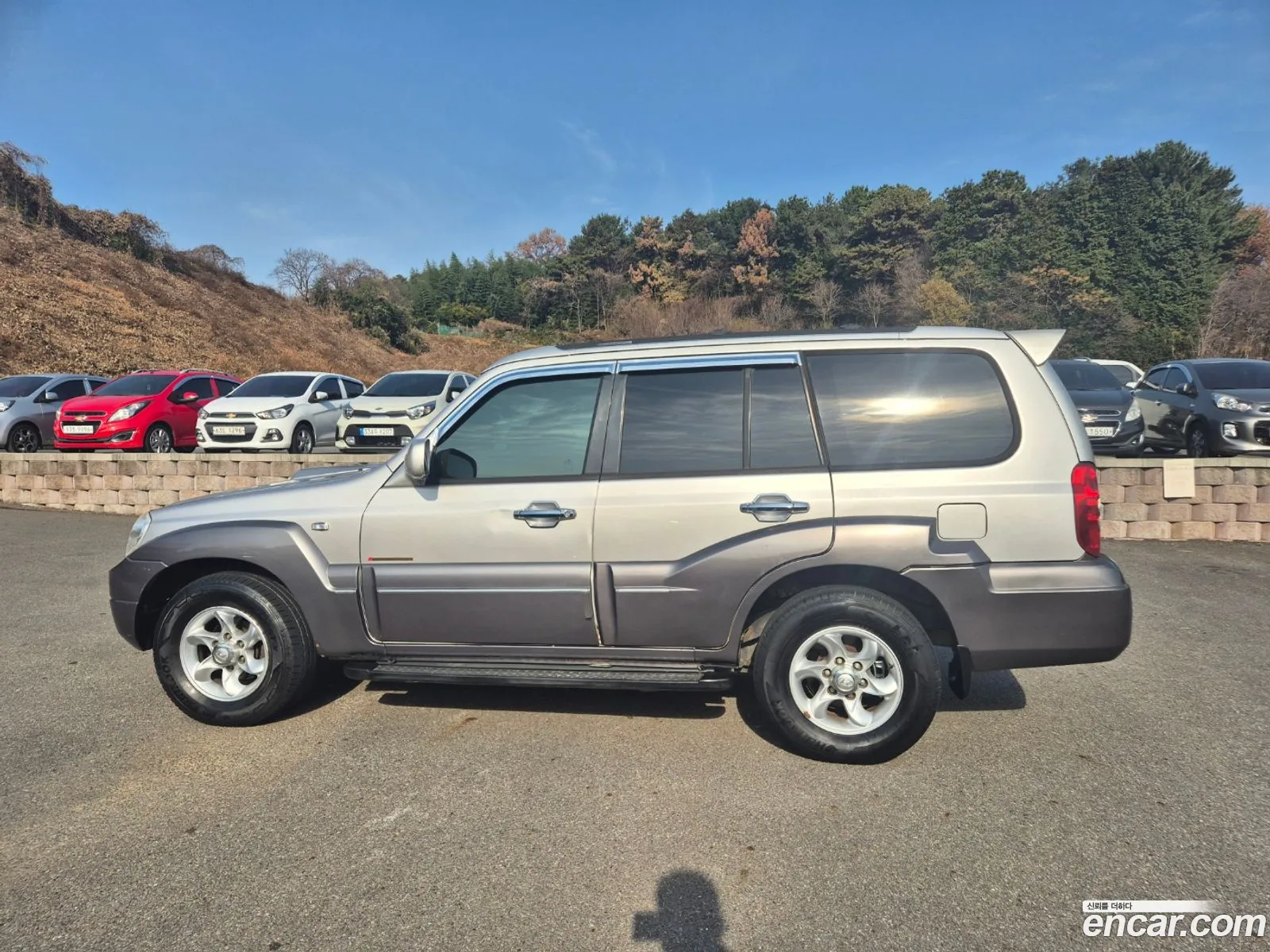 Hyundai Terracan 2006 — 18