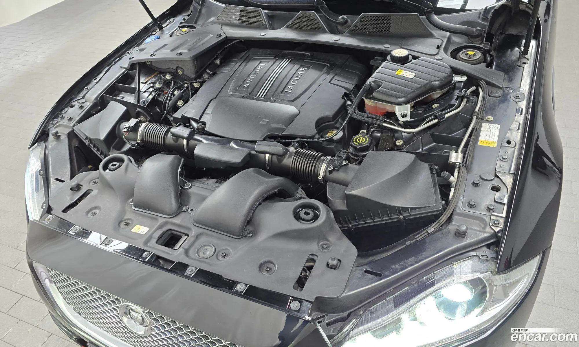 Jaguar XJ 2011 SAJAA26BXBLV14558 — 4