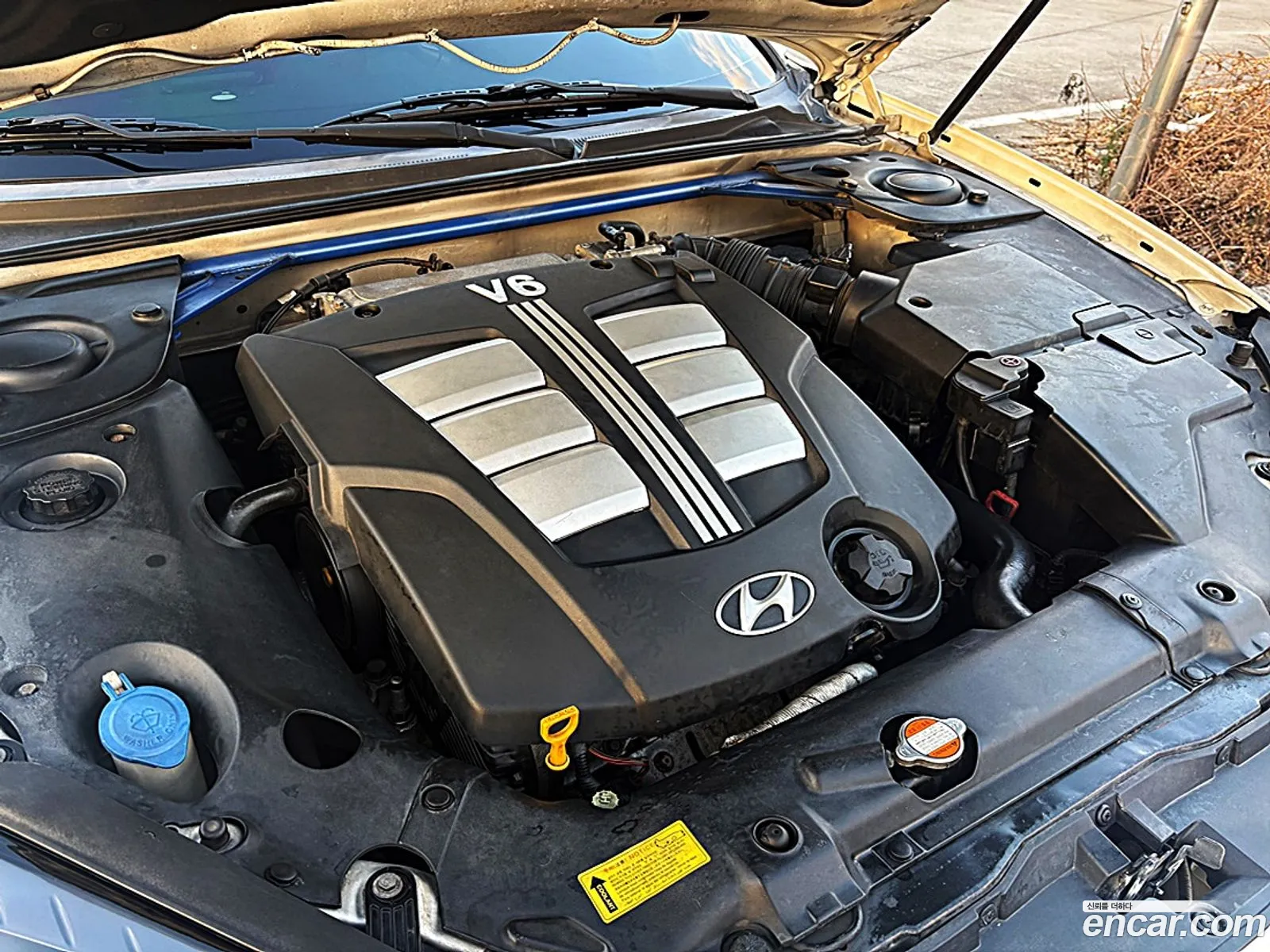 Hyundai Tuscani