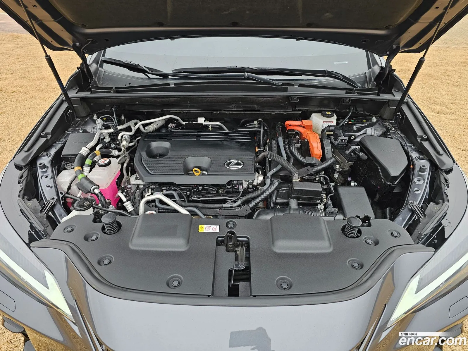 Lexus NX450h+ 2023 — 11